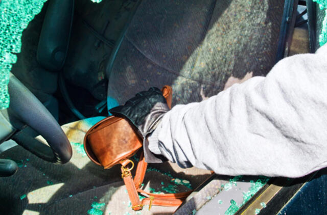 Apvogtas Varnėnų gatvėje stovėjęs estės automobilis