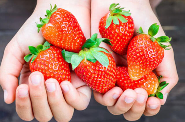 Braškės. 3 originalūs receptai