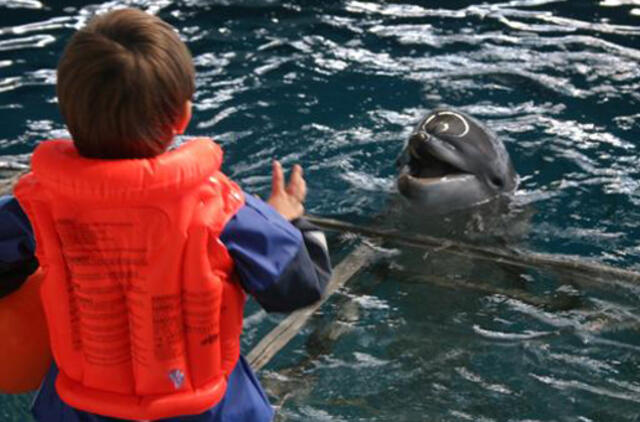 Delfinų terapijos centre - naujos metodikos