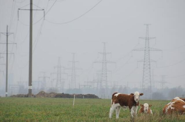 Elektros kaina buvo beveik 15 proc. didesnė nei gegužę