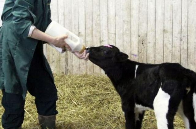 Pienas užtvindys Vyriausybę