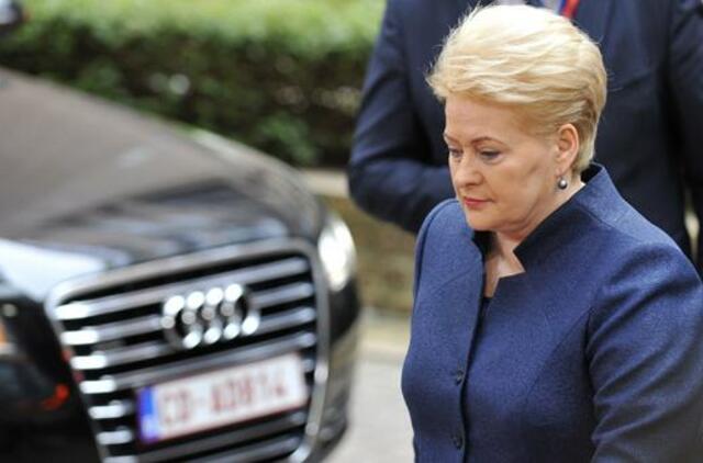 Dalia Grybauskaitė: tik konkretūs įsipareigojimai atkurs pasitikėjimą Graikija