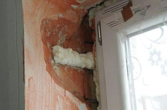 Renovacijos dienoraštis (10)