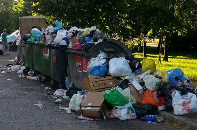 Valdininkai davė pylos tvarkdariams