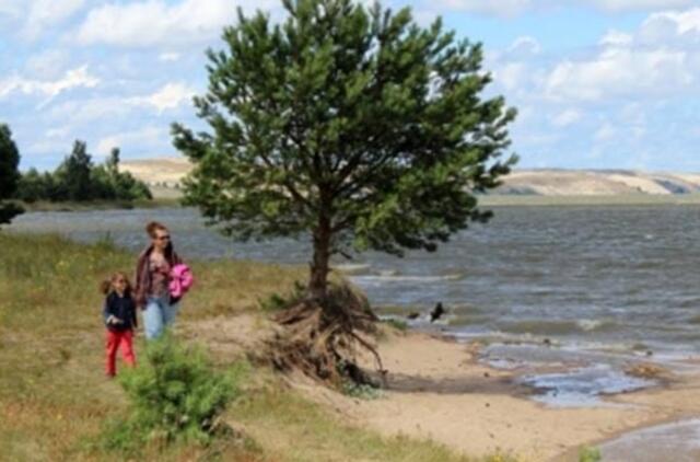 Į Kuršių neriją sugrįžta medkirčiai