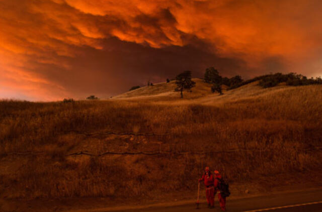 JAV: dėl miško gaisrų Kalifornijoje evakuota apie 12 tūkstančių žmonių