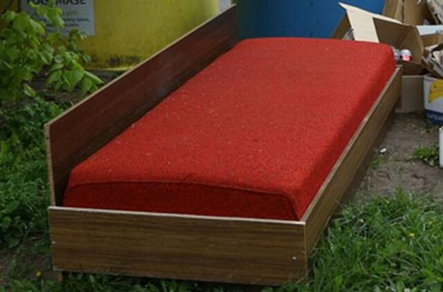 Renovacijos dienoraštis (12)