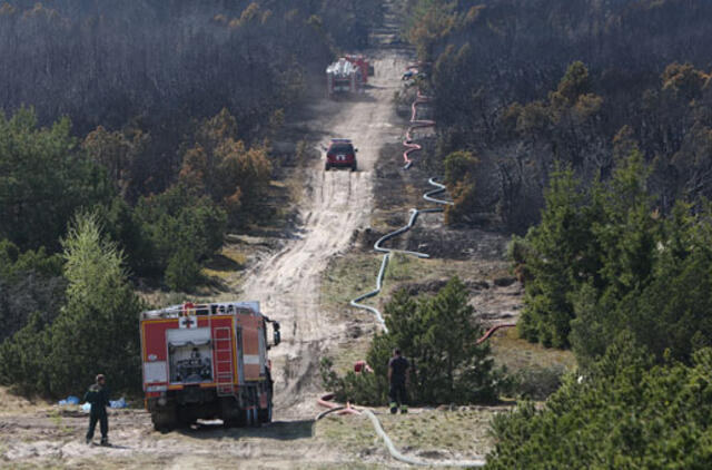 Siūlo drausti rūkyti Kuršių nerijos miškuose