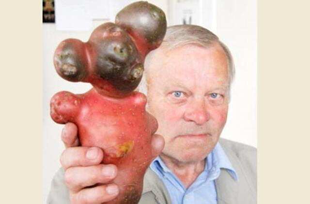 Įspūdingi derliaus radiniai