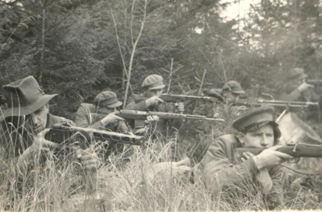 Apie valią priešintis