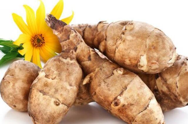 Topinambas: nei bulvė, nei saulėgrąža