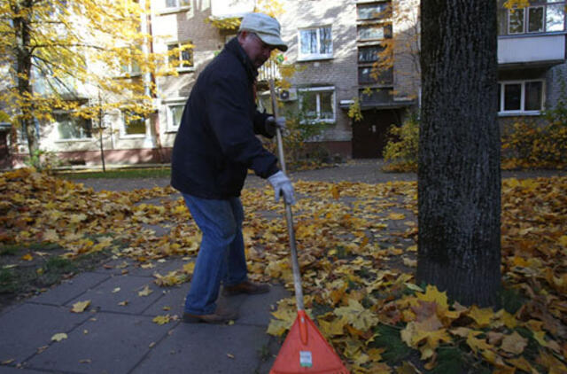 Prievolė valyti kiemus: teismai nepadėtų?