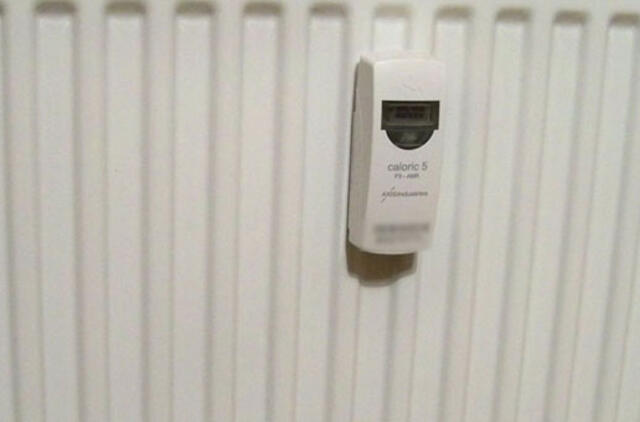 Renovacijos dienoraštis (20)