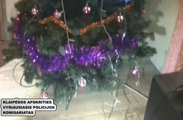 Broliai-vagišiai Kalėdas sutiks be eglutės