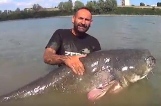 Italas sugavo 120 kilogramų šamą