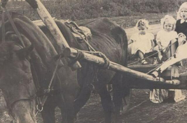 Kaip jie mus trėmė