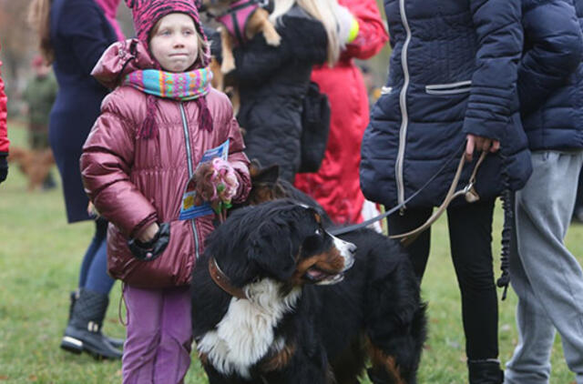 Klaipėdiečiai aukojo keturkojams draugams