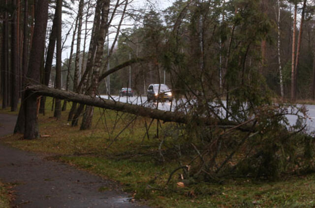 Vakarinėje šalies dalyje sustiprės vėjas