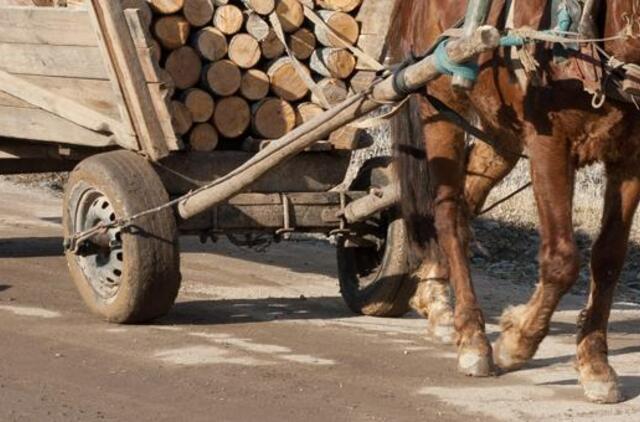 Vyras žuvo po vežimo ratais