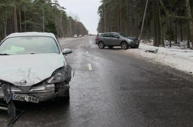 Avarijoje "sudalyvavo" ir keturkojai
