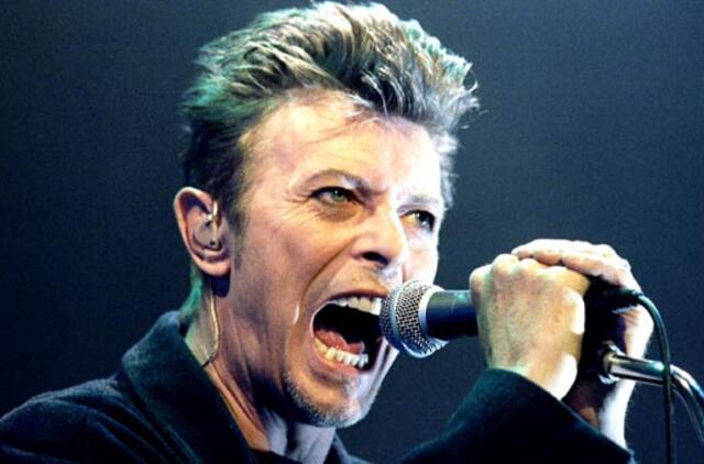 Deividas Bouvis savo šeimai paliko 100 mln. JAV dolerių