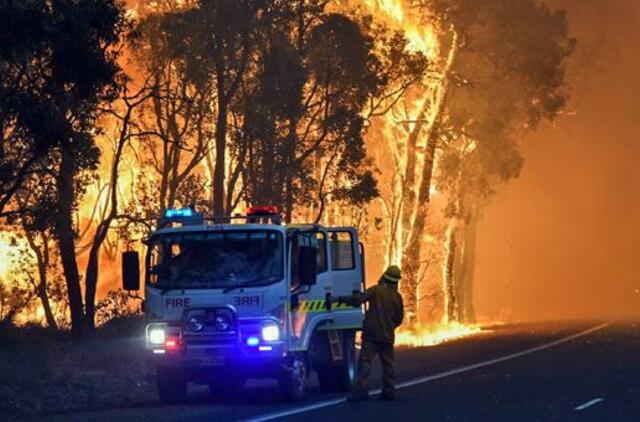 Miškų gaisrai Australijoje sunaikino per 90 namų