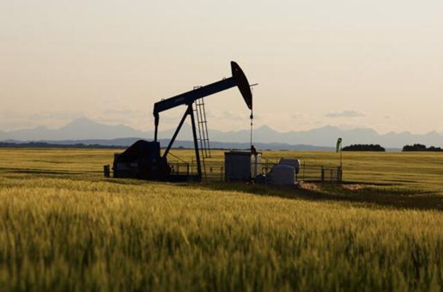 Naftos ateities sandorių kainos ne tik krinta, bet ir kyla