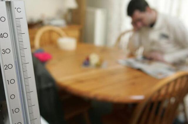 Renovacijos dienoraštis (25)