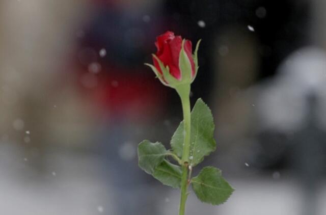 Vasario 16-oji lietuviams svarbesnė, tačiau dovanų gausesnė Šv. Valentino diena