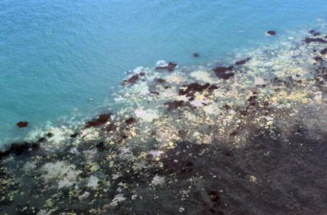 Australijos Didysis barjerinis rifas susiduria su didžiausiu kada nors koralų blukimu