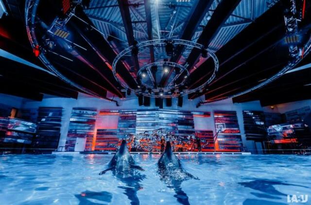 Klaipėdos delfinariume -  "Delfinai ir žvaigždės"