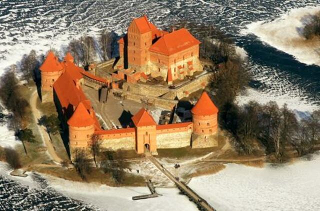 Ugniagesiai išgelbėjo ant Trakų pilies sienos užsiropštusį labradorą