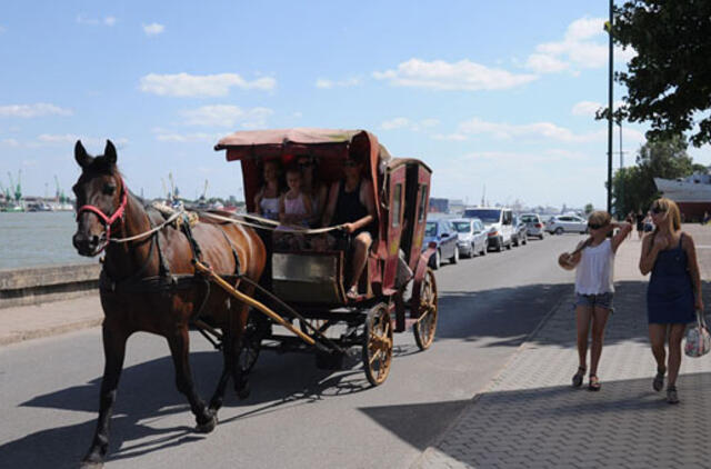 Kviečia išreikšti nuomonę dėl Smiltynės ateities