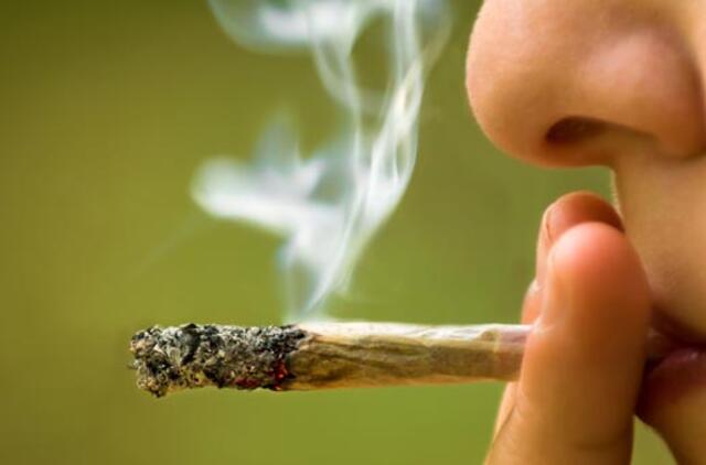 „Žolininkai" visai suįžūlėjo: suktines užsitraukė M. Mažvydo alėjoje 