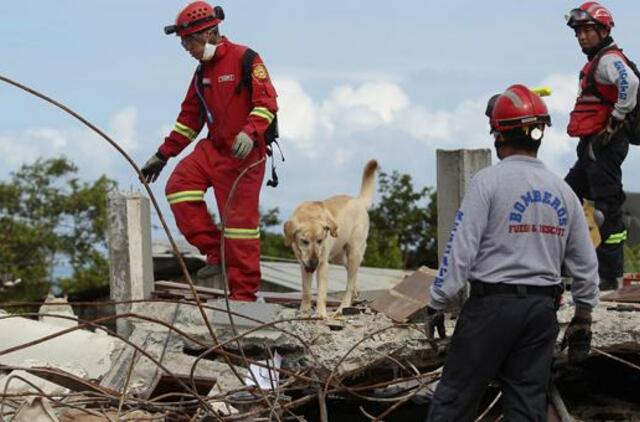 Per žemės drebėjimą Ekvadore žuvusių žmonių skaičius išaugo iki 413