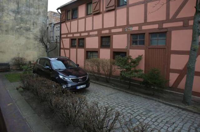 Už dekoratyvinius augalus gresia bauda