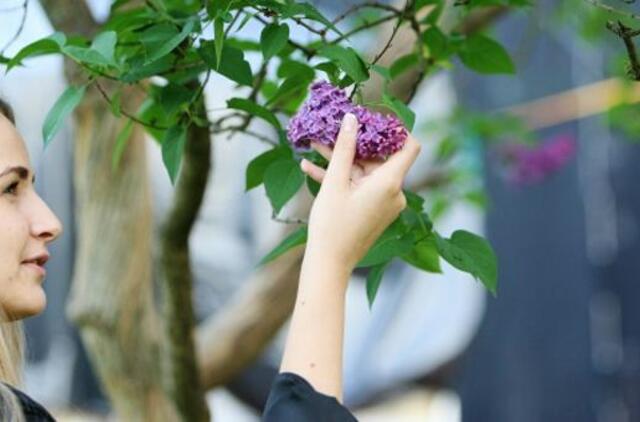 Būk pasveikinta, vasara