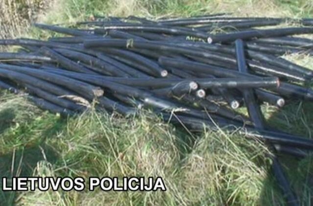 Elektros kabelio vagystės organizatorius - už grotų