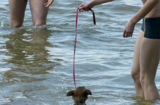 Nustatė, kaip elgtis vandenyje ir ant ledo