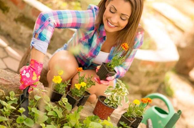 Patarimai sodininkui