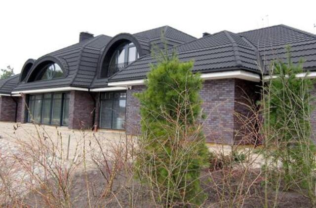 Prezidentūra: abejonės dėl "Vijūnėlės nutarimo" dar neišsklaidytos