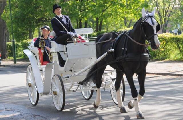 Senamiestyje ir Smiltynėje vėl važinės karietos