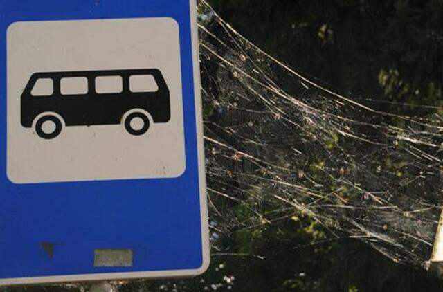 Autobusų stotelėms - nauji vardai