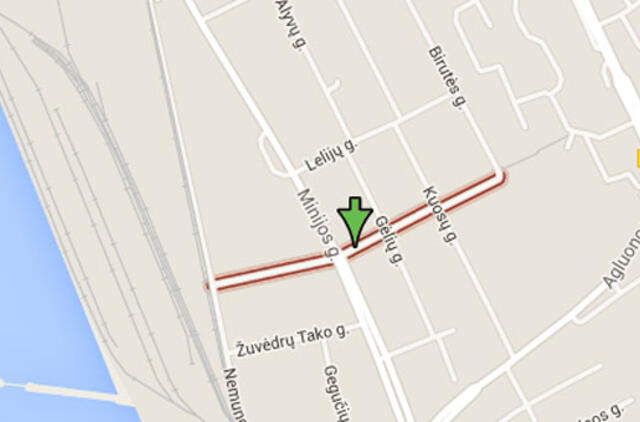 Gatvei - Gintaro pelkės pavadinimas