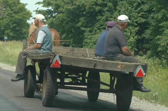 Į Lietuvą sugrįžusius emigrantus traukia kaimas