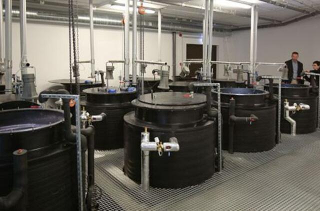 Jūrinės žuvininkystės laboratorijos mezokosmuose galima sluoksniuoti vandenį