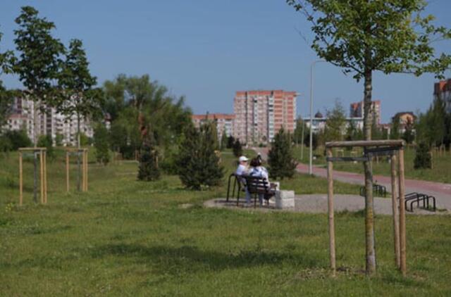 Kuo giliau į Sąjūdžio parką - tuo daugiau klausimų