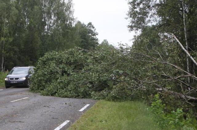 "Lietuvos draudimas": daugiausiai nuostolių audra padarė turtui
