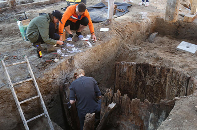 Silkių rūšiavimo sistema ieškos naujų namų