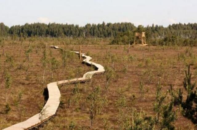Aukštumalos pelkę galėsite perbristi nesušlapę kojų